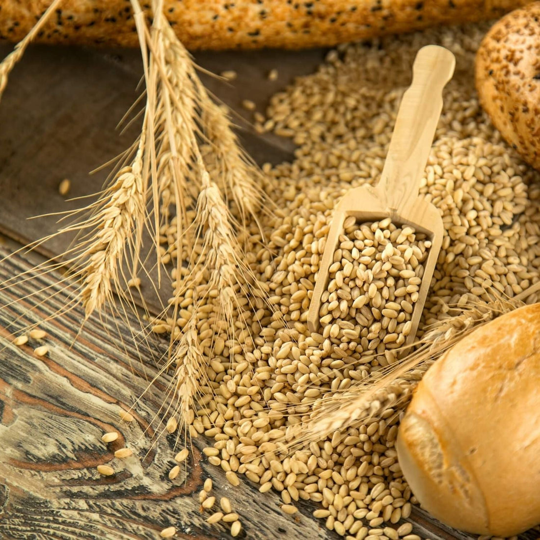 Langzame koolhydraten