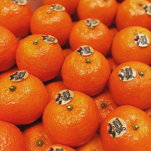 1C395F90-105A-41C5-AE42-5A5889DC4EEE